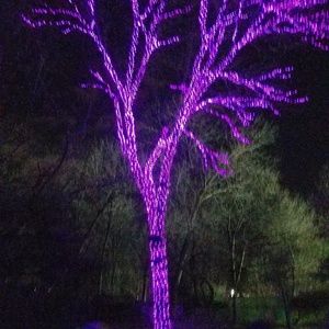 Meet your Posher, Sheila